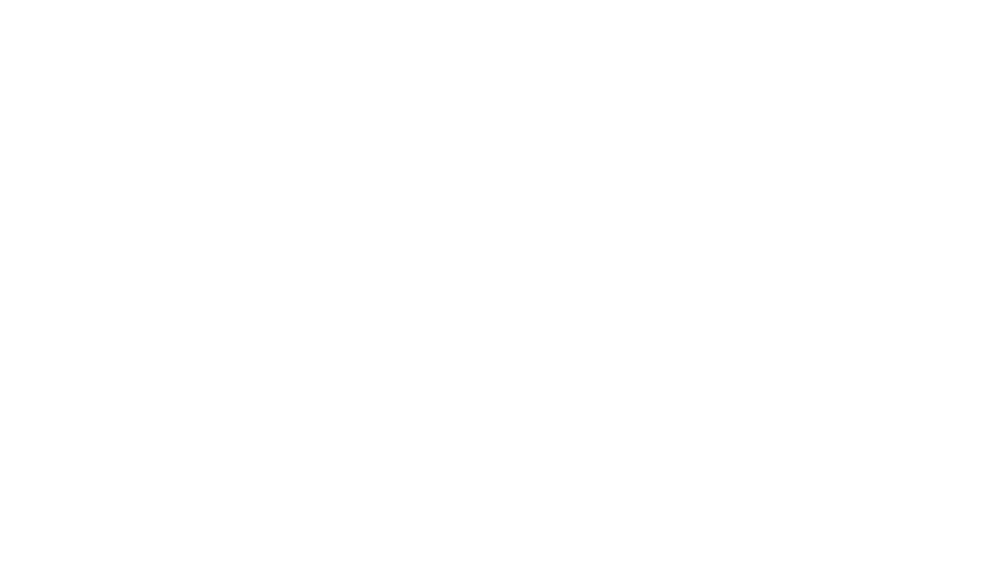 Signature Rally